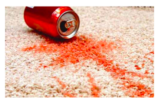 The Carpet Cleaning Process